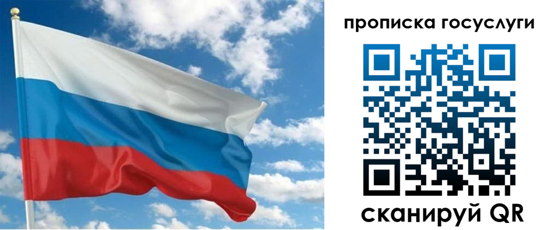 временная регистрация поиск в Алексеевке